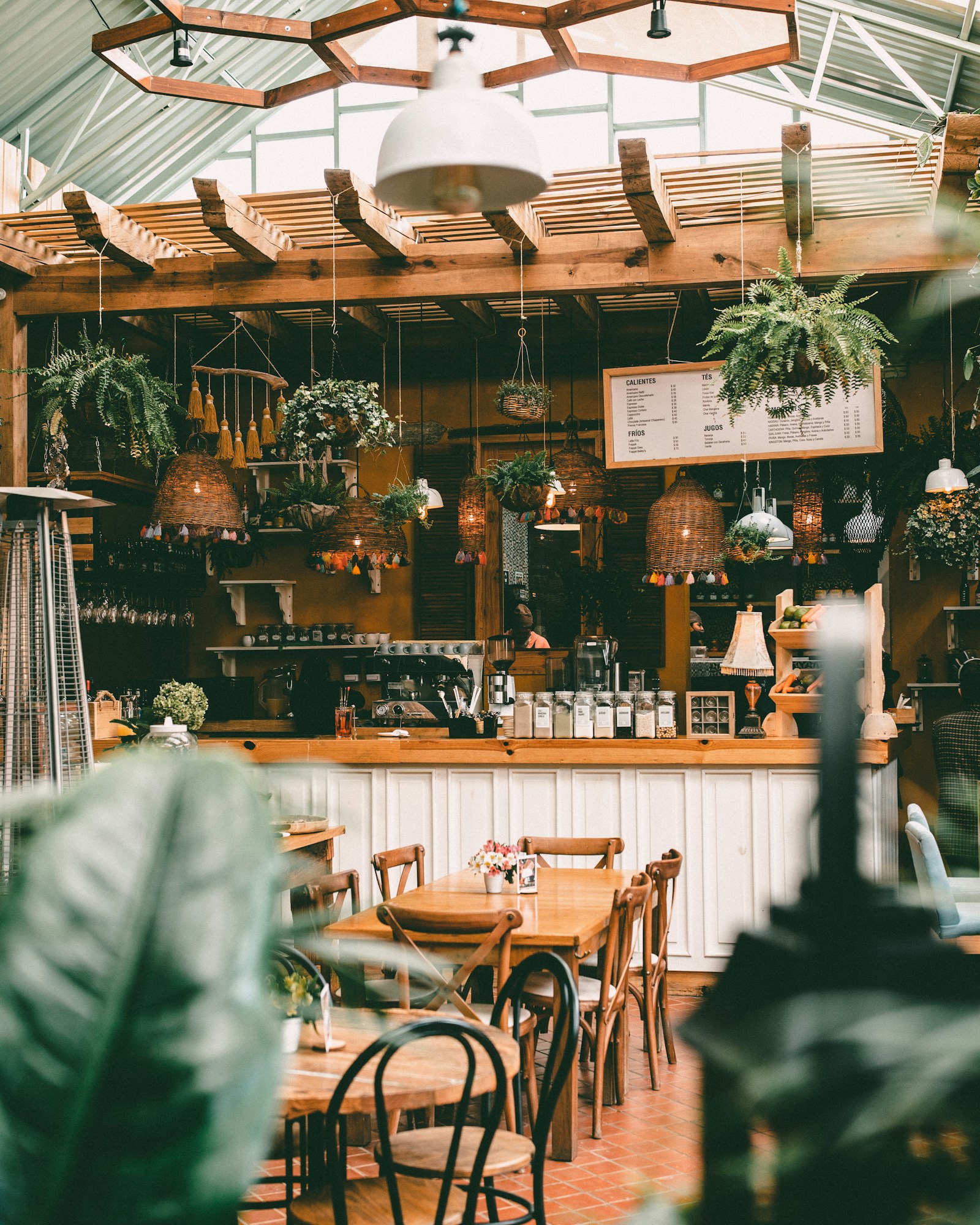 Intérieur lumineux d'un café végétalisé, visuel temporaire